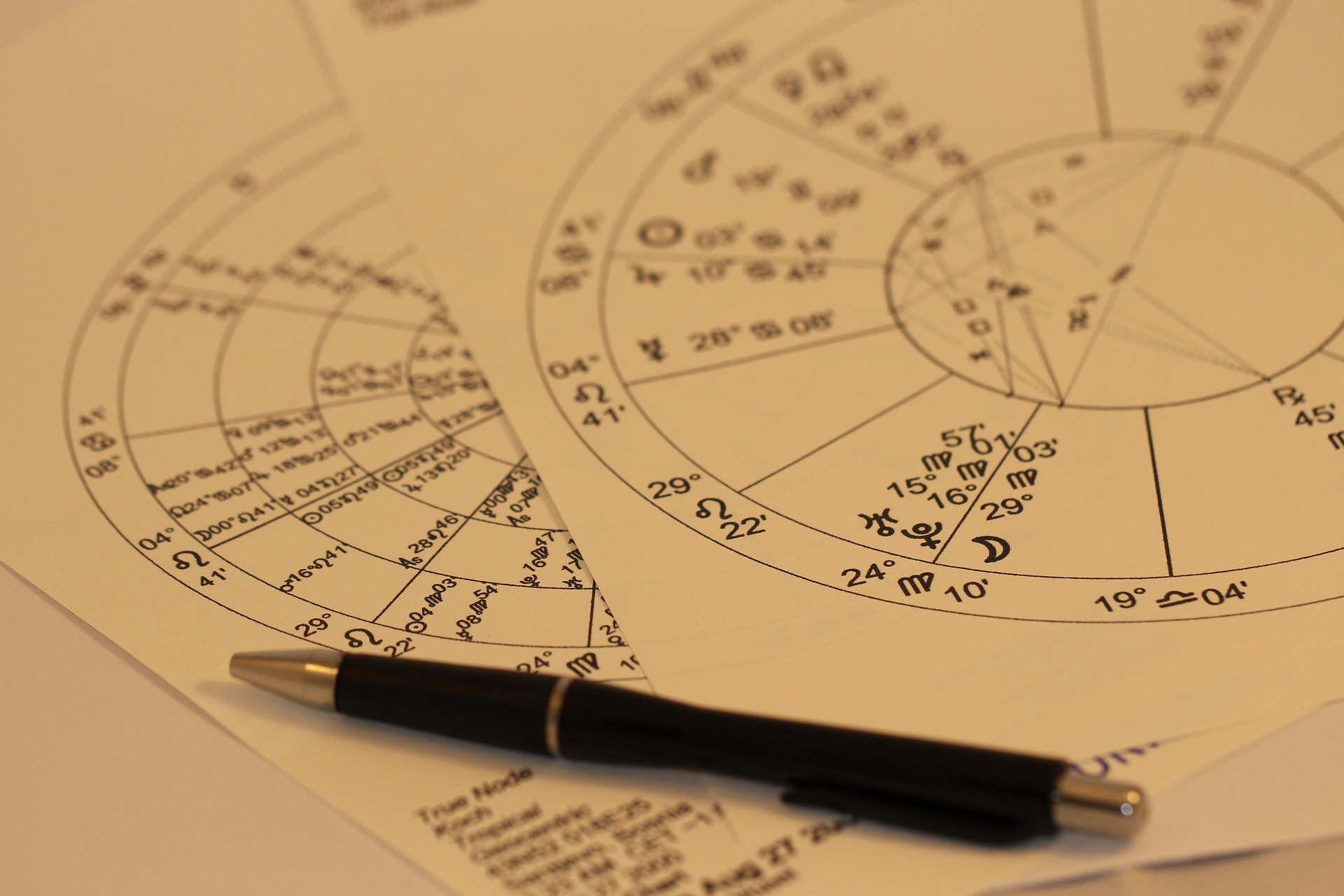 Vastu consultation